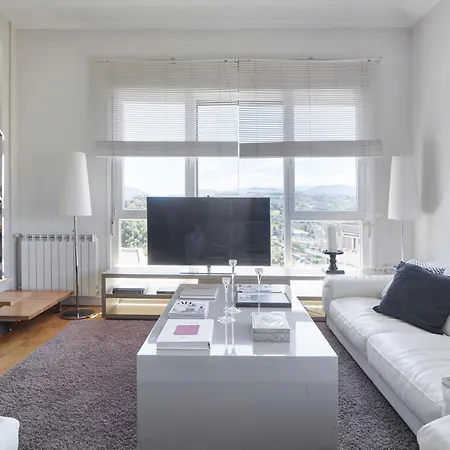 Palacio Aiete By Feelfreerentals 公寓 圣塞瓦斯蒂安